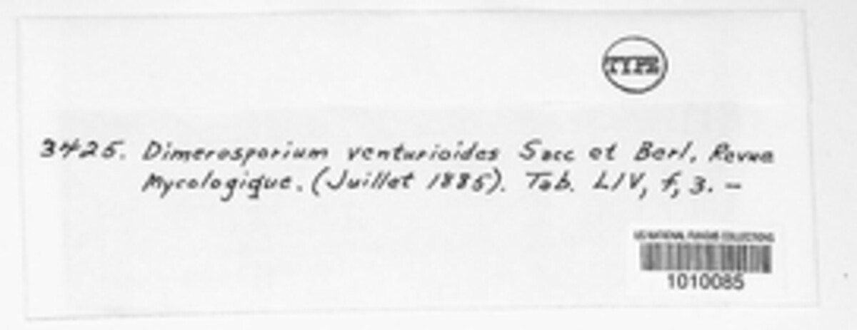 Dimerium venturioides image